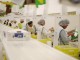 eurofresh DSC_0058